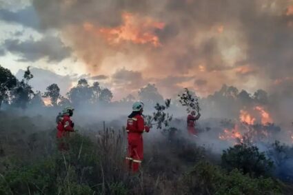 Tragedia en la Amazonía: Incendios Forestales Cobran la Vida de 15 Personas en Perú