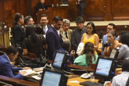 Bancada Ciudadana rechaza sanción de 30 días contra Mireya Pazmiño por “disentir”