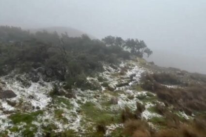 Nevada sorprende en el Parque Nacional Cajas: Azuay se tiñe de blanco este 3 de julio