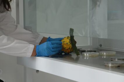 Ecuador inaugura el primer centro fitosanitario de innovación para la pitahaya: nace Cefidep en Palora