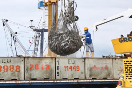 Sector pesquero de Ecuador logra récord histórico de exportaciones pero enfrenta grandes desafíos